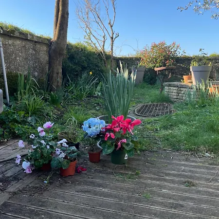 Homestay La Maison Sur La Falaise