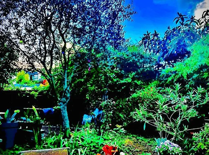 La Maison Sur La Falaise *