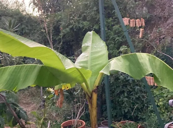 La Maison Sur La Falaise Ubytování v soukromí