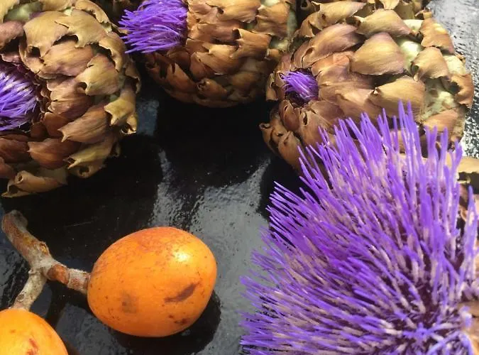 La Maison Sur La Falaise Nantes