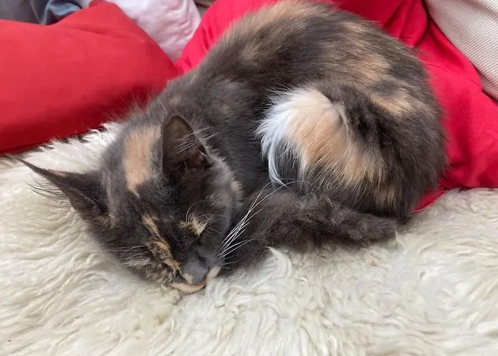 La Maison Sur La Falaise * Nantes