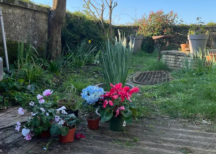 Homestay szállás La Maison Sur La Falaise