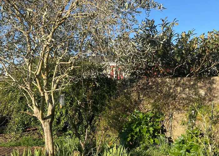 La Maison Sur La Falaise * Nantes