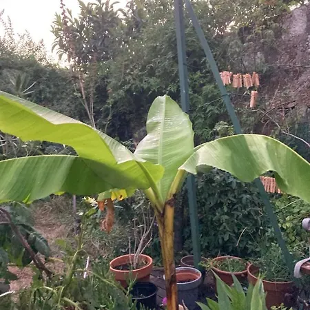 La Maison Sur La Falaise Séjour chez l'habitant