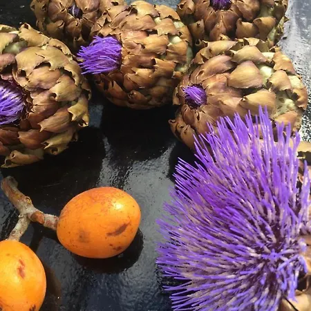 La Maison Sur La Falaise Nantes