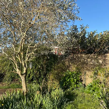 La Maison Sur La Falaise * Nantes